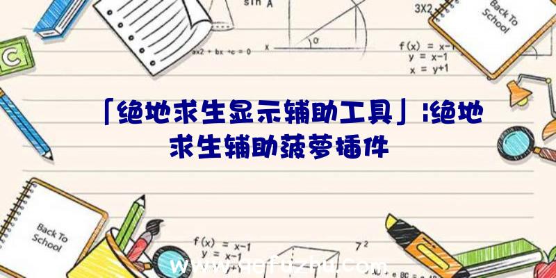 「绝地求生显示辅助工具」|绝地求生辅助菠萝插件